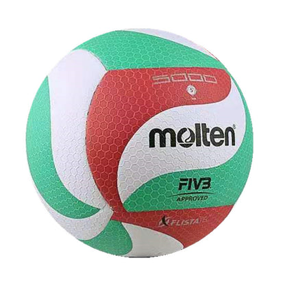 Molten moten volleyball