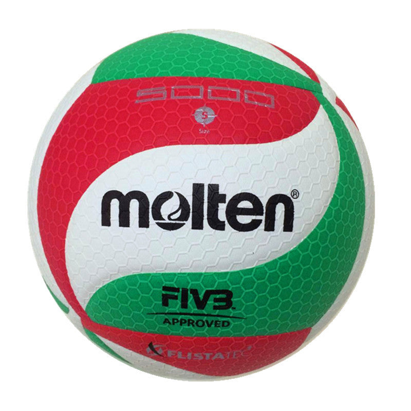 Molten moten volleyball