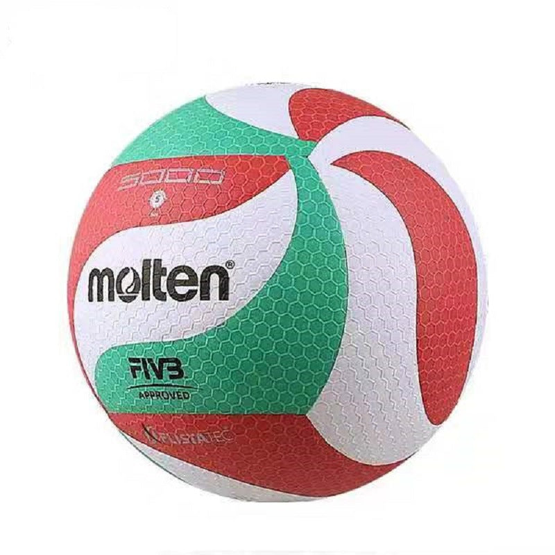 Molten moten volleyball