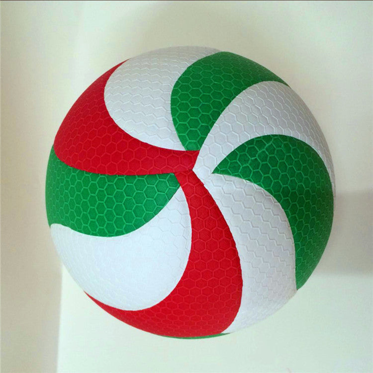 Molten moten volleyball